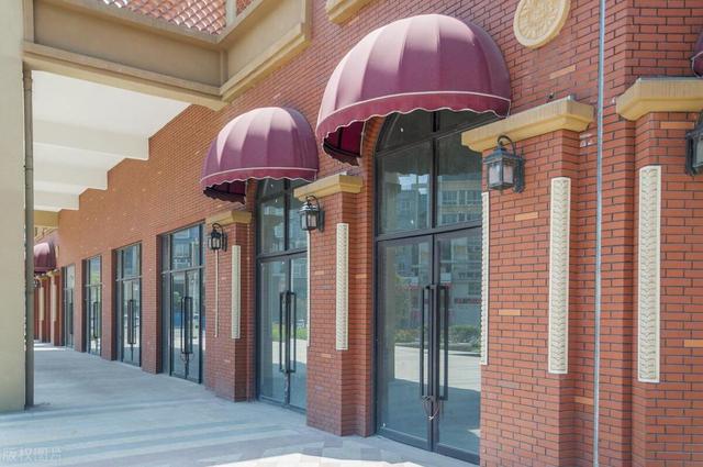 茶杯犬多少钱一只幼崽？茶杯犬多少钱一只幼崽最便宜！