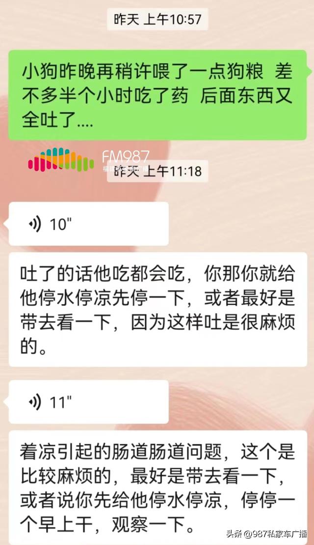 一只布偶猫幼崽多少钱？一只布偶猫幼崽多少钱最少多少！