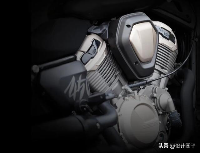 金吉拉一般多少价位？金吉拉2000一只贵吗！