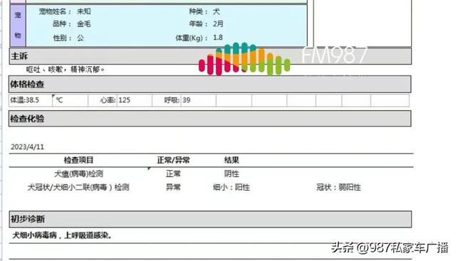 一只布偶猫幼崽多少钱？一只布偶猫幼崽多少钱最少多少！