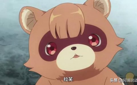 小浣熊百将传礼包码（小浣熊百将传平民最强阵容）