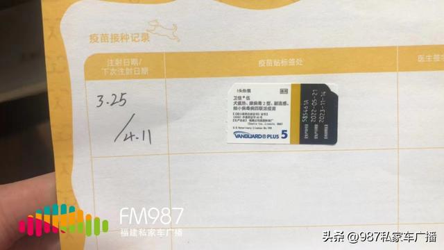 一只布偶猫幼崽多少钱？一只布偶猫幼崽多少钱最少多少！