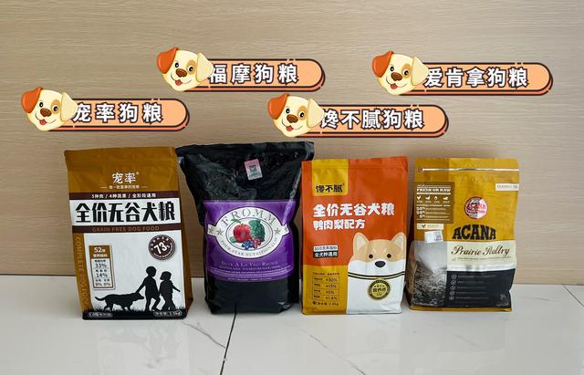 卡斯罗犬价格多少钱一只？卡斯罗犬价格多少钱一只幼犬！