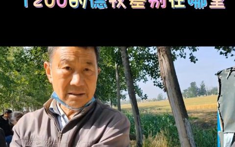 德牧犬多少钱一只幼犬图片？德牧犬多少钱一只幼犬图片及价格！