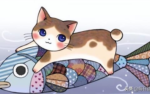 猫咪发情几月份（猫咪一般几月份发情）