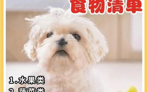 狗狗为什么不能吃车厘子（狗狗可以吃车厘子么）