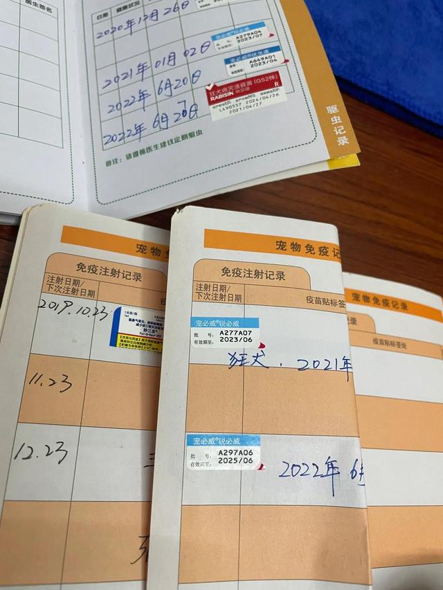 英短多少钱一只正常价,幼崽（英短多少钱一只正常价格图片）