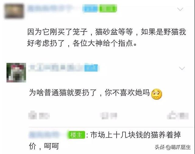 蓝猫和家猫杂交图片大全（蓝猫和家猫杂交图片视频）