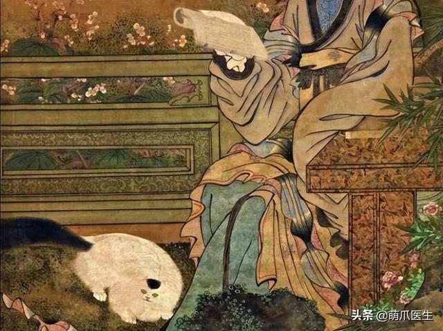 蓝猫和家猫杂交图片大全（蓝猫和家猫杂交图片视频）