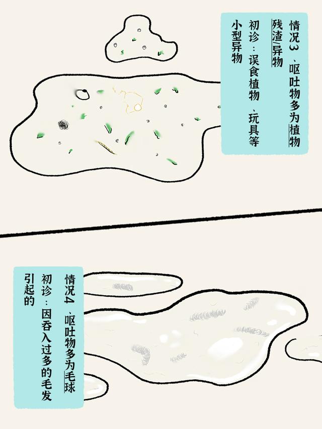 猫瘟症状有哪些？猫瘟症状有哪些表现！