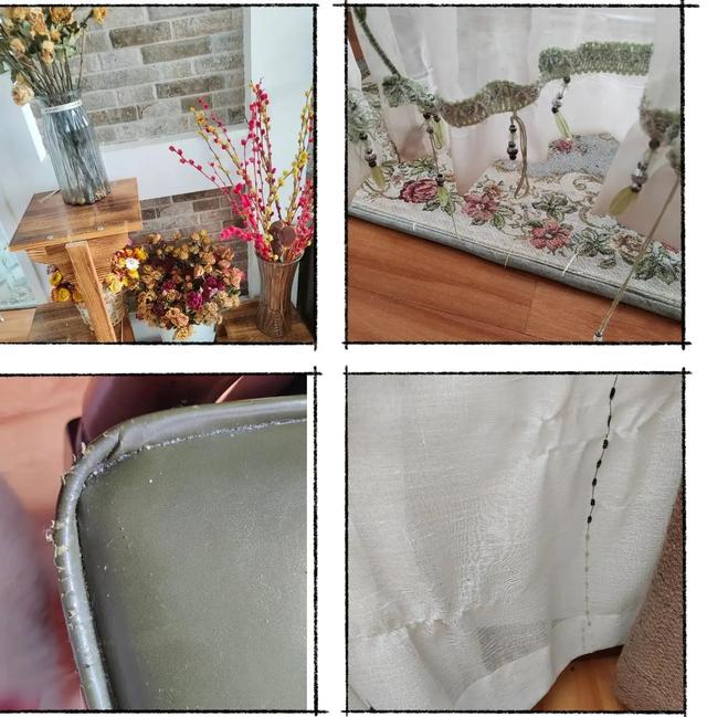 银渐层猫应该怎么养？养银渐层猫的坏处！