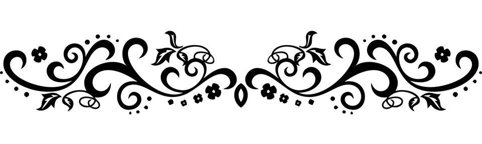 英国可卡犬多少钱一只图片（英国可卡犬多少钱一只4年的）