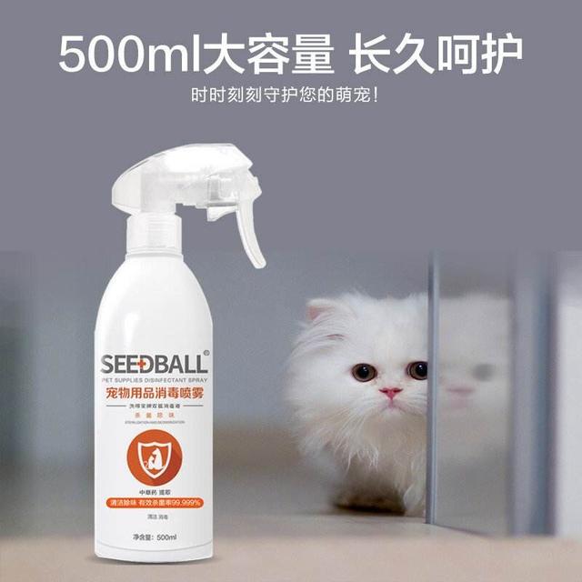 手套色布偶猫一般多少钱（重点色布偶猫和手套色布偶猫价格）