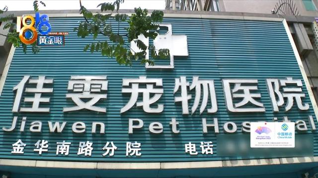 布偶猫价格多少钱一只2022（布偶猫价格多少钱一只幼猫）