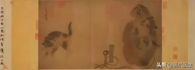 蓝猫和家猫杂交图片大全（蓝猫和家猫杂交图片视频）