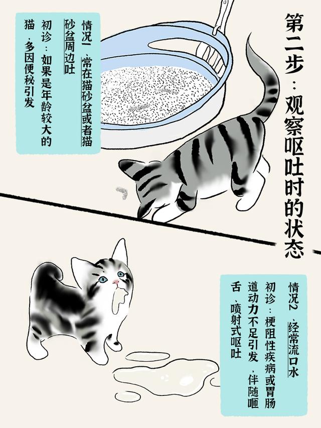 猫流口水是什么情况？猫流口水是怎么回事很粘稠的口水！