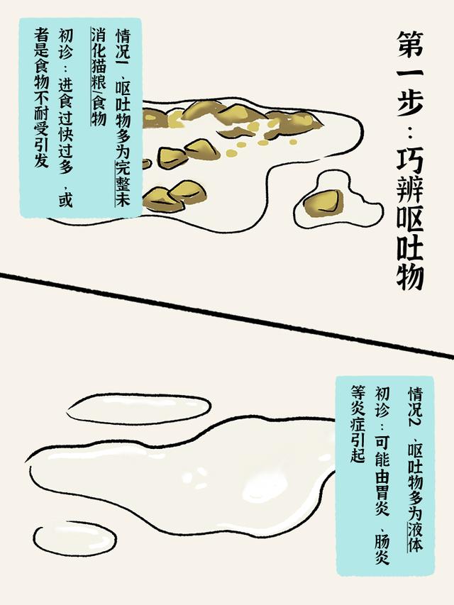 猫瘟症状有哪些？猫瘟症状有哪些表现！