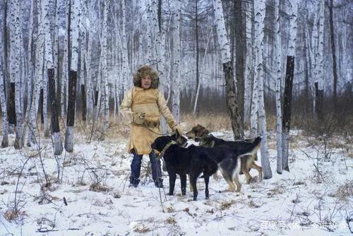 相狗经 专看土狗王（民间相狗经土狗怎样看是狗王）