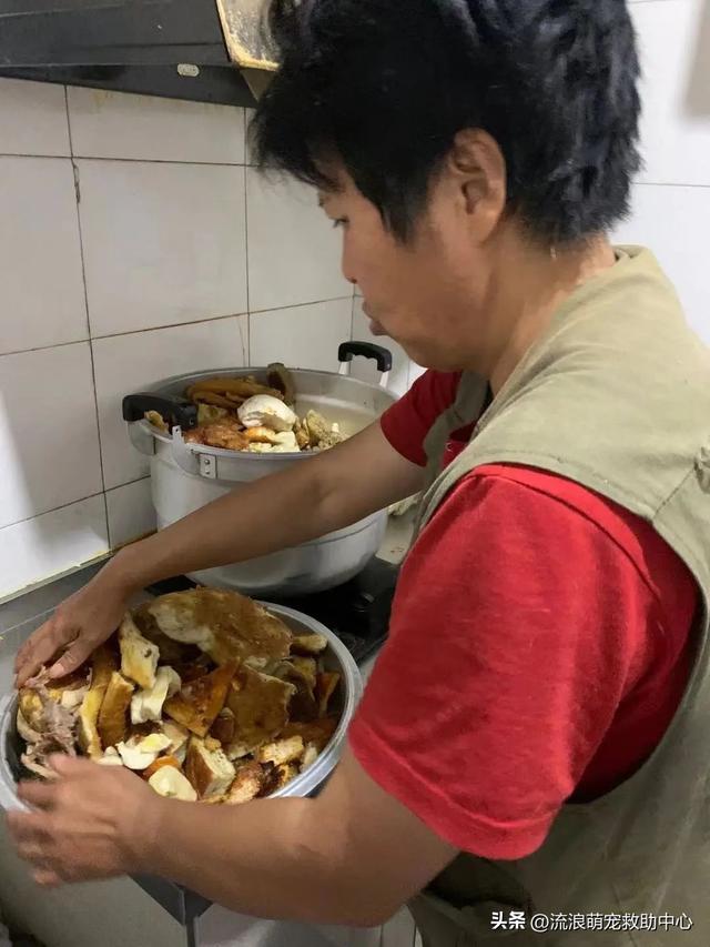 离这里最近的狗市场是哪里_（离我们最近的狗市在哪里）