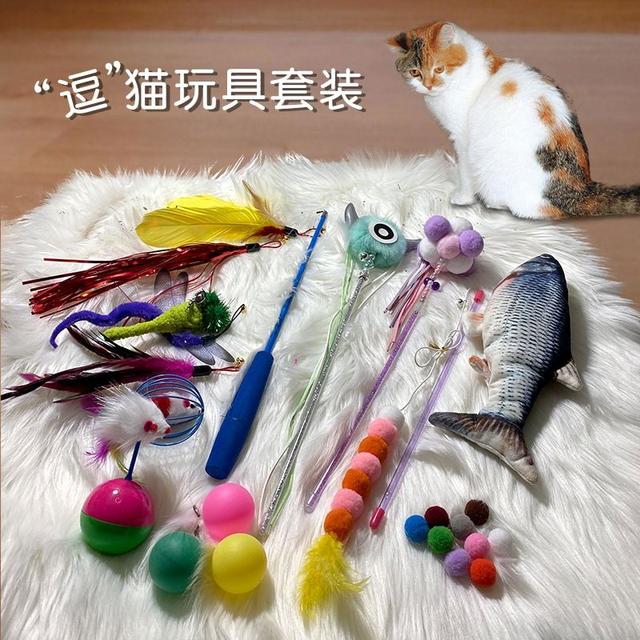 手套色布偶猫一般多少钱（重点色布偶猫和手套色布偶猫价格）