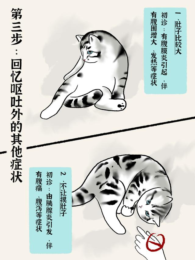 猫瘟症状有哪些？猫瘟症状有哪些表现！