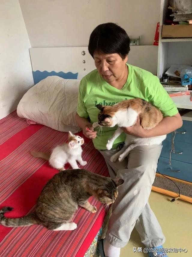 离这里最近的狗市场是哪里_（离我们最近的狗市在哪里）