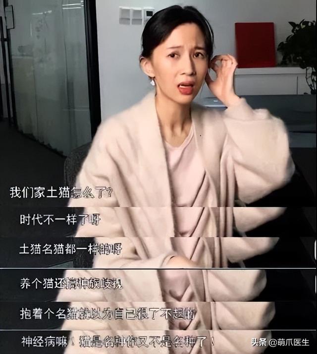 蓝猫和家猫杂交图片大全（蓝猫和家猫杂交图片视频）