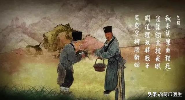 蓝猫和家猫杂交图片大全（蓝猫和家猫杂交图片视频）