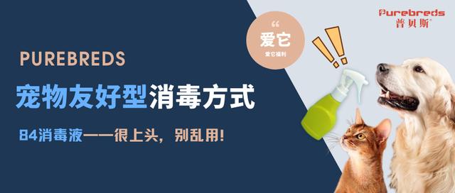 猫咪正常体温是多少°C？猫咪正常体温是多少_！