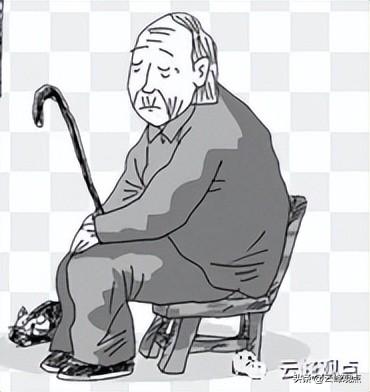 为什么比熊养公不养母了？为何有的人宁愿养狗也不愿养父母？！