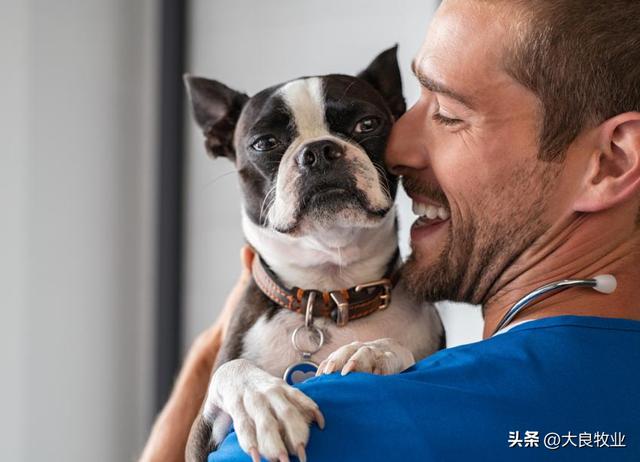 狗狗打嗝一抽一抽的怎么办？为什么狗会打嗝？打嗝会伤害狗吗？如何摆脱狗打嗝！