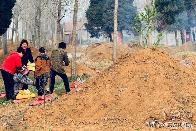 狗狗死后主人不能哭民间说法？俗话说“不怕家狗半夜哭，就怕坟头柳树粗”，啥意思？有道理吗！