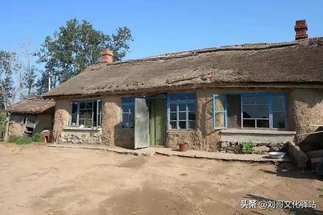 狗狗死后主人不能哭民间说法？俗话说“不怕家狗半夜哭，就怕坟头柳树粗”，啥意思？有道理吗！