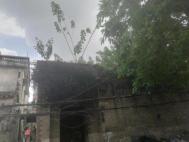 腊肠犬一般多少钱一只幼犬腊肠犬一般多少钱一只幼犬图片！