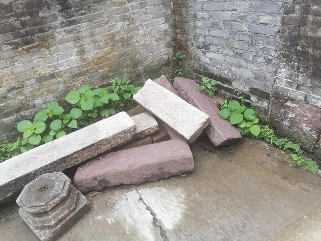 腊肠犬一般多少钱一只幼犬腊肠犬一般多少钱一只幼犬图片！