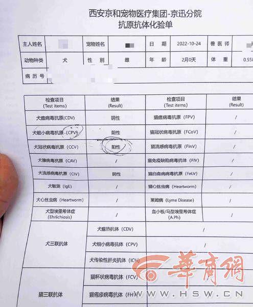 泰迪一般多少钱？泰迪一般多少钱一只！