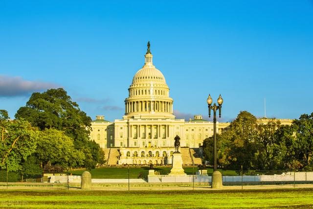 阿拉斯加价格多少钱一只幼犬？阿拉斯加幼犬多少钱一只！