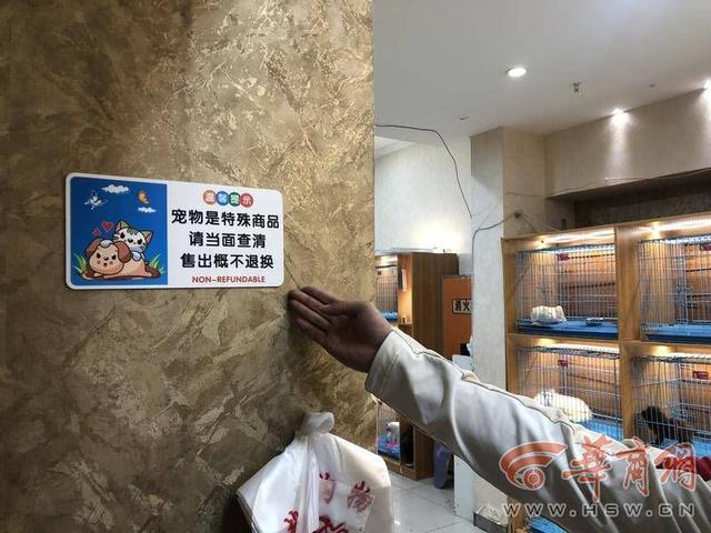 泰迪一般多少钱？泰迪一般多少钱一只！