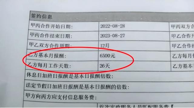 缅因猫市场价格是多少？缅因猫市场价格是多少钱一只！