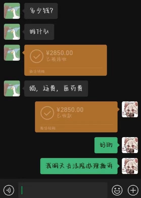 布偶猫价格一览表2022图片？布偶猫价格一览表2022图片大全！