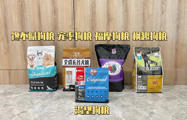 金毛寻回猎犬是什么意思呀？金毛寻回犬是猎犬吗！