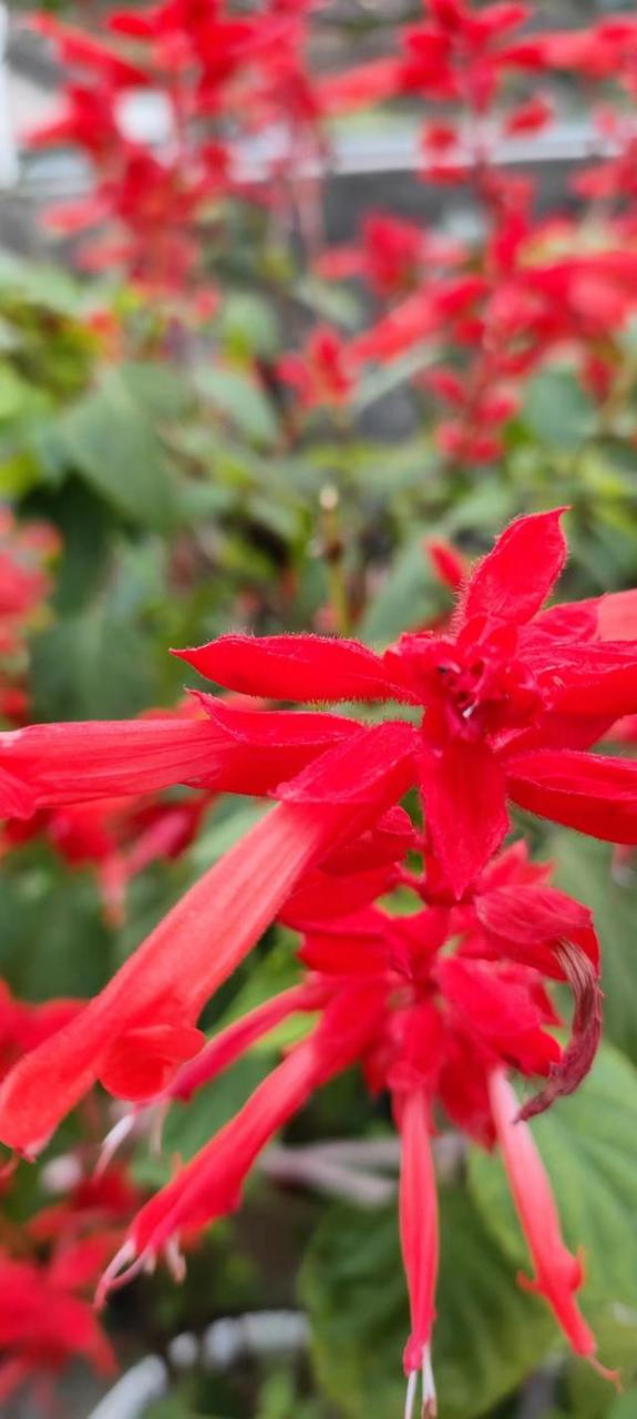 劈柴（现代诗）