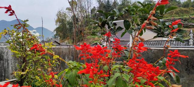 劈柴（现代诗）