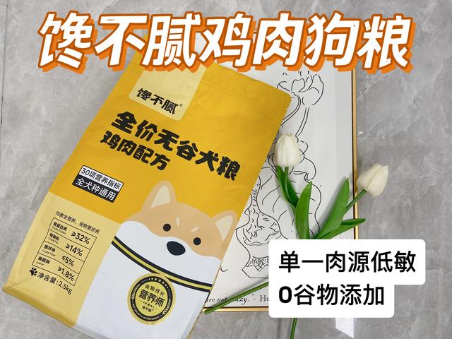 越来越多人选择“约克夏”！为何？6个优势，很难拒绝