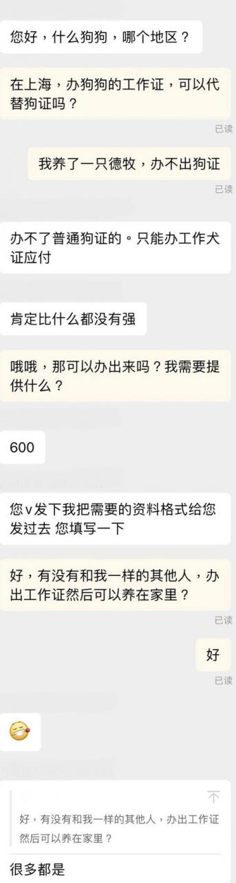商家不明示，买来的宠物竟是“禁养犬”？办狗证还有门道？