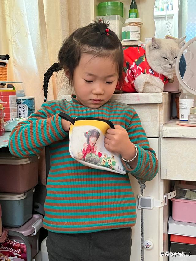 真是人小志气大，为买到一只布偶猫，4岁的小姑娘决定自己攒钱