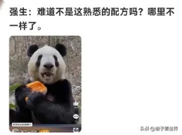 孙红雷，牛头梗，怎么可以这样说熊猫呢，他听到会伤心的