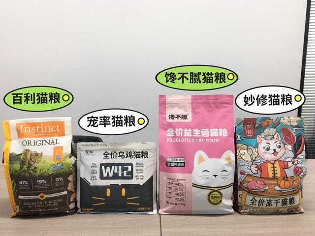 原来“缅因猫”这么可怕，难怪养过的人，都说后悔了！