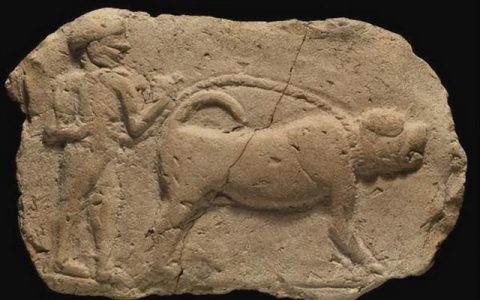 猎犬被小鹿踢入河中，狗主人大受启发，宣布在此建国，国祚106年