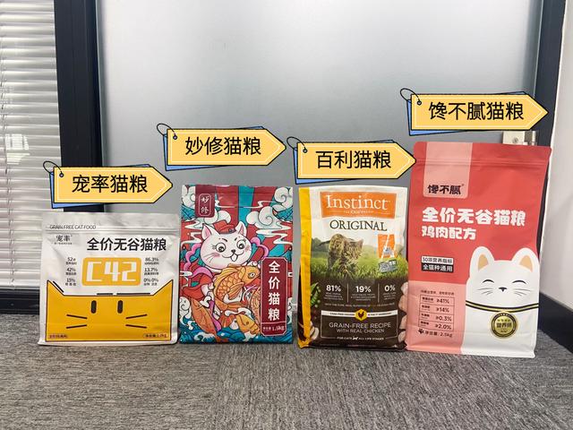 “便宜又好养”的4种猫，宠物店一般不会给你推荐的！